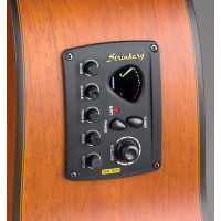 Violão Elétrico Folk Aço Sd220c Mgs 12 Cordas Strinberg