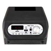 Caixa de Som Amplificada TRC 219 com Bluetooth, Rádio FM, Entrada USB e Controle Remoto – 35W
