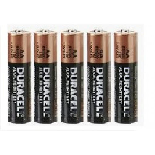 Pilha Duracell AA
