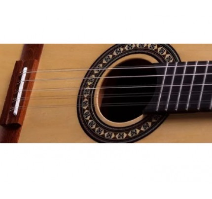 Viola Caipira Clássica Rozini Rv155 Elétrica Ativa